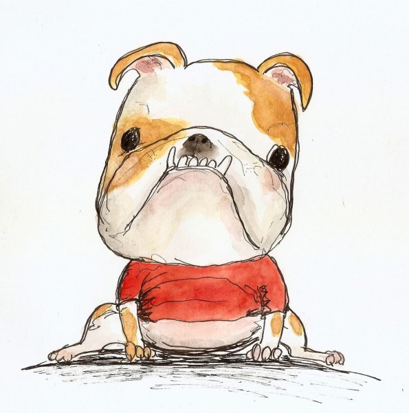 Юнона Маркова бульдоги