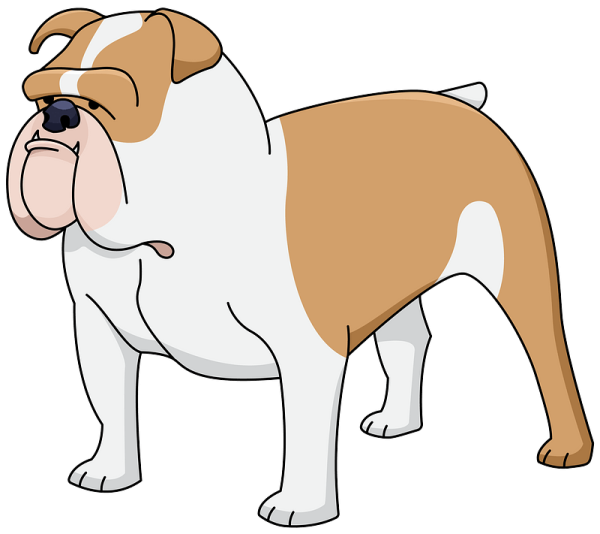 Ребенок с бульдогом