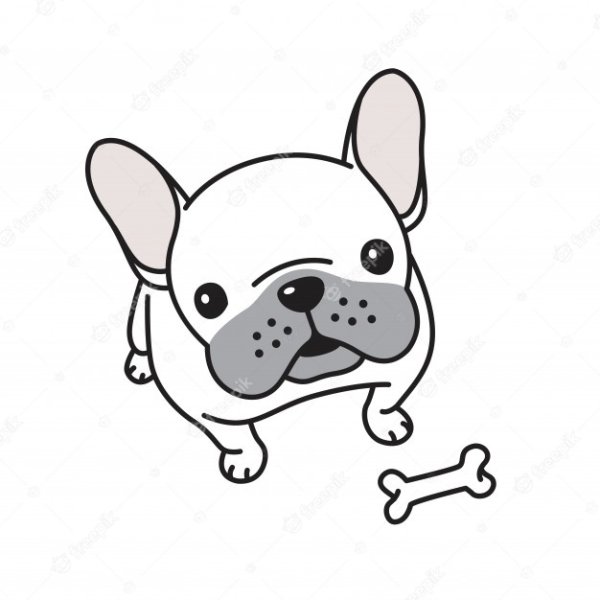 Раскраска собачка французский бульдог