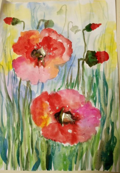 Мак красками