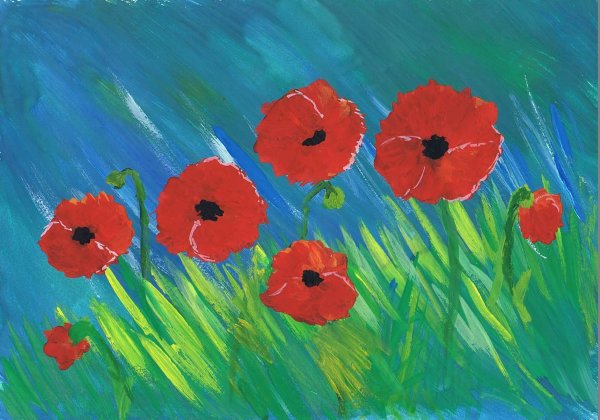 Рисование маки старшая группа