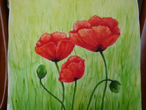 Рисование маки с детьми