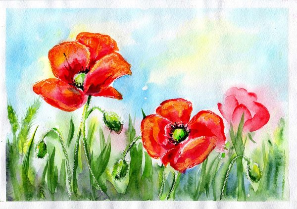 Маки красками для детей