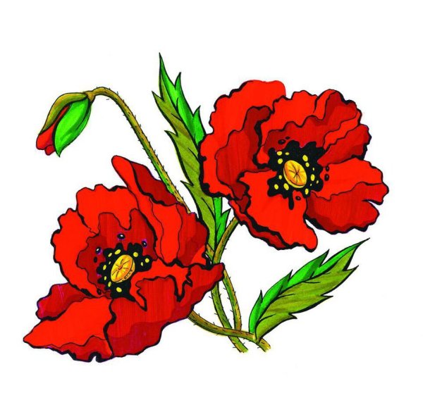 Мак для детей