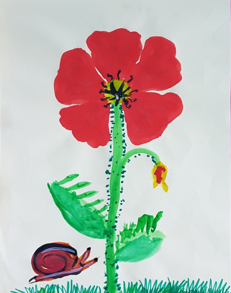 Мак детский рисунок