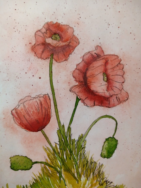 Маки рисунок для детей