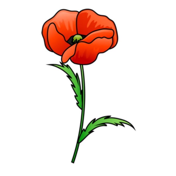 Нарисовать поле цветов