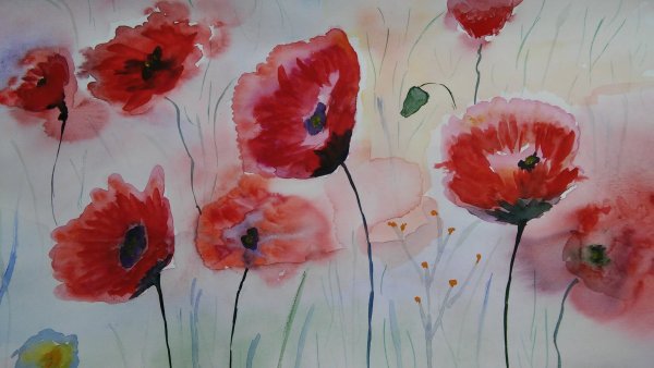 Мак акварельными карандашами