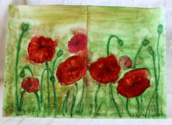 Маки акварельными карандашами