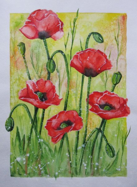 Рисование лето в старшей группе