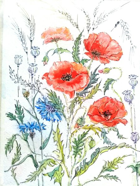 Мастер класс по рисованию маков