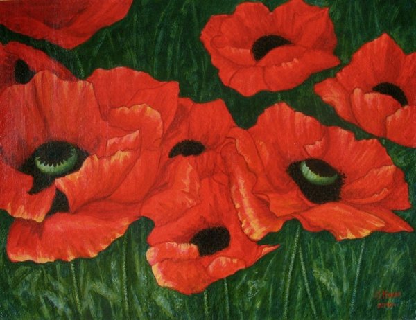 Уроки рисования маков