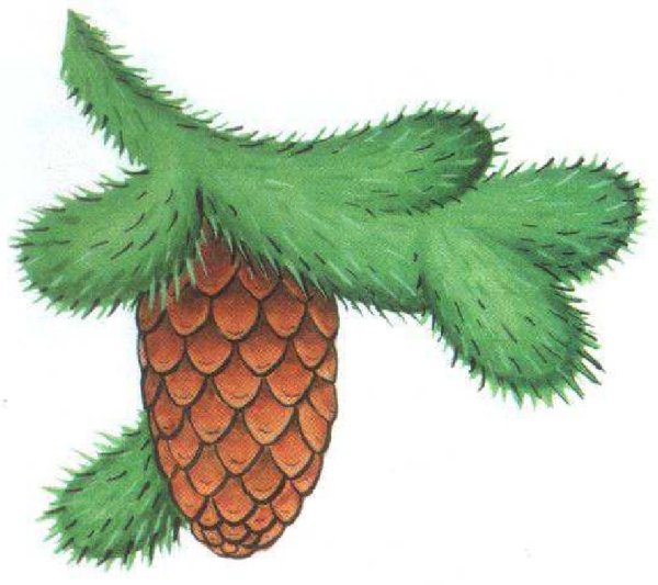 Шишка мультяшная