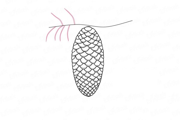 Трафарет еловой шишки