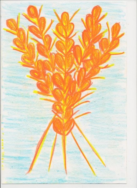 Рисование на тему колосок