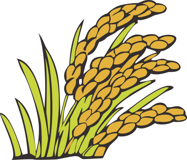 Пшеница мультяшная