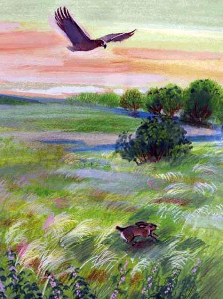 Художник Хакасский Сергей