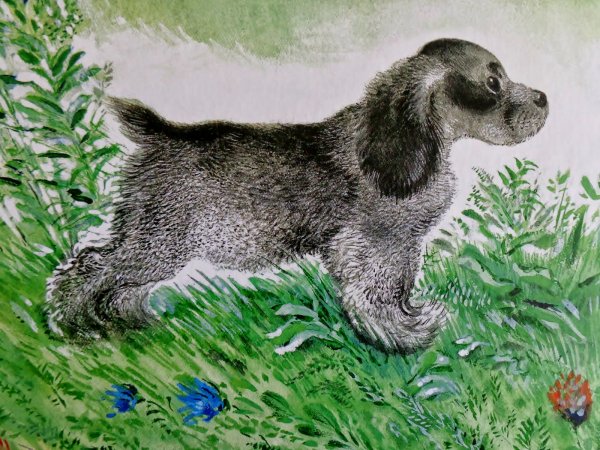 Евгений Чарушин Томка