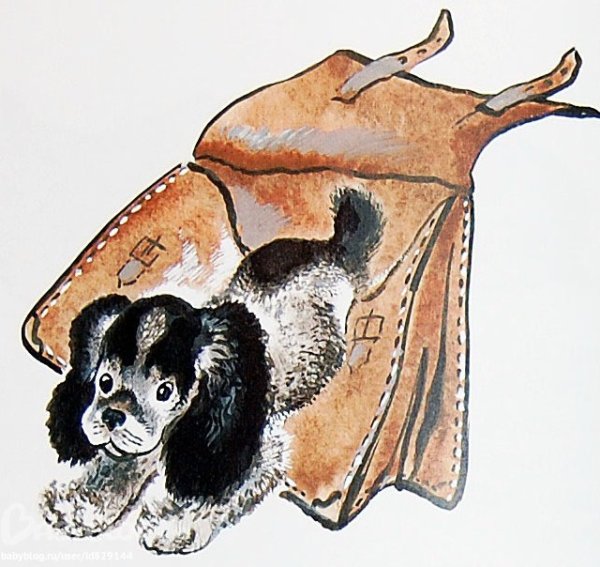 Чарушин про Томку