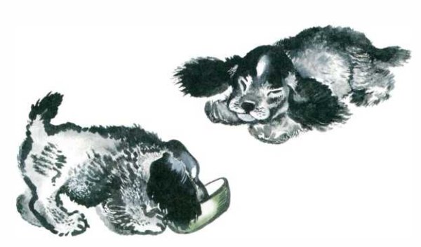 Чарушин про Томку