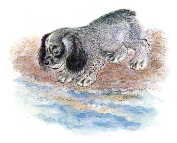 Чарушин про Томку