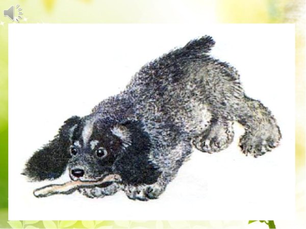 Евгений Иванович Чарушин Томка