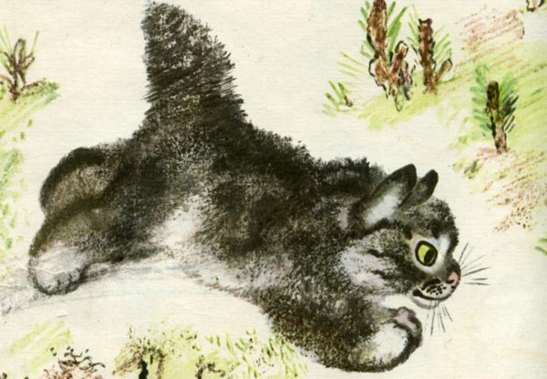 Евгений Чарушин Тюпа