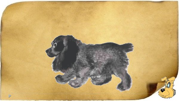 Евгений Иванович Чарушин Томка