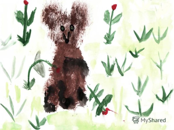 Рисование в подготовительной группе по творчеству Чарушина