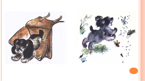 Иллюстрации к рассказам Чарушина для детей