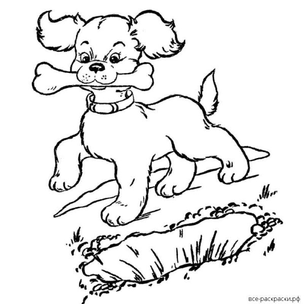 Первая охота раскраска