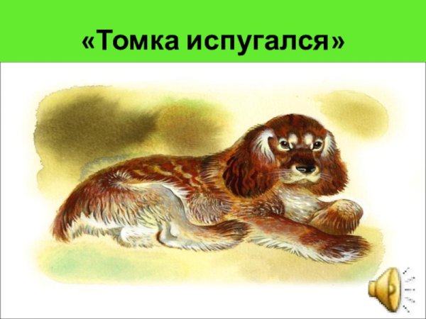 Е.Чарушин Томка испугался