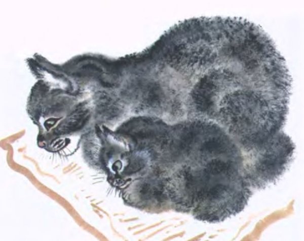 Евгений Чарушин Тюпа