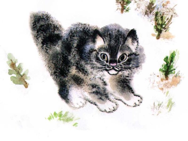 Чарушин Тюпа