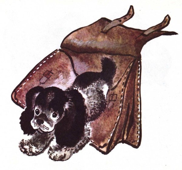 Чарушин в.н.