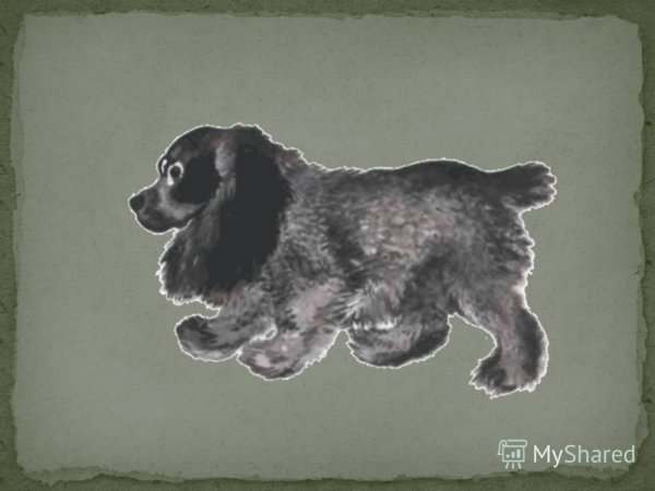 Е.Чарушин Томка испугался