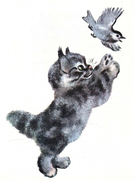 Евгений Чарушин Тюпа