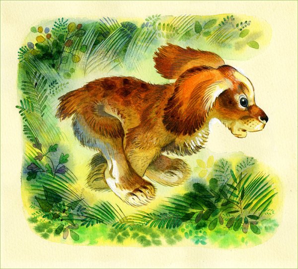 Чарушин про Томку