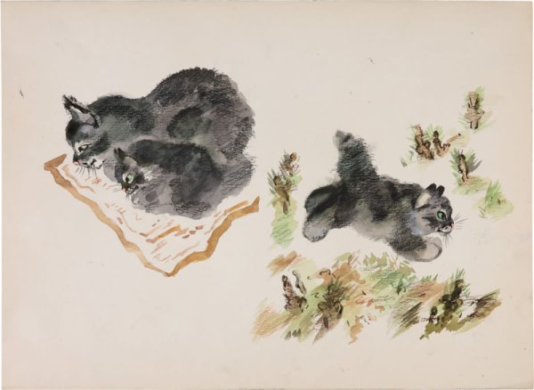 Иллюстратор Евгений Иванович Чарушин