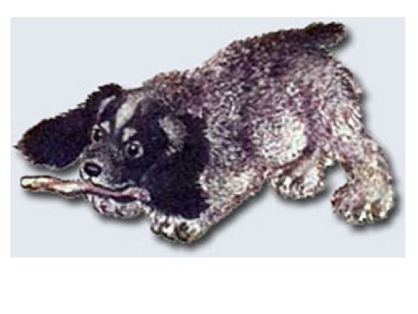 Чарушин про Томку