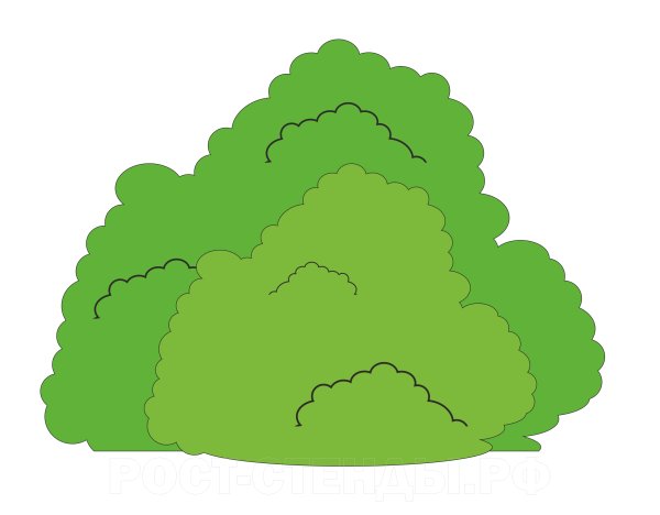 Нарисовать куст