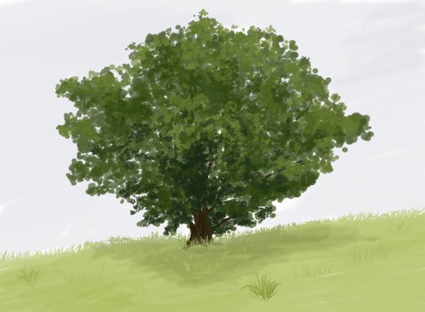 Кустарники рисование с детьми