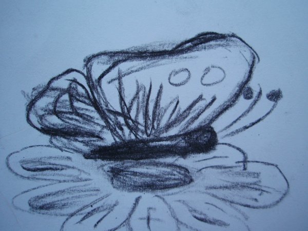 Рисование углем для детей