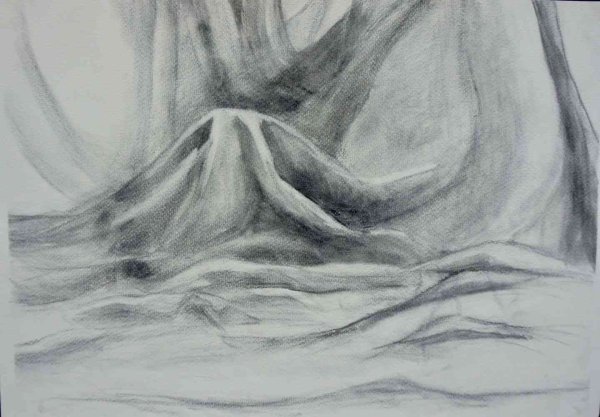 Рисуем углем для детей в детском саду