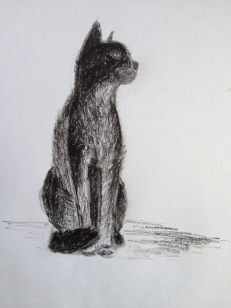 Портрет девочки Графика