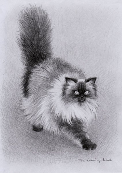 Рисунки углем для начинающих детей