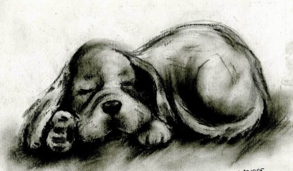 Техника рисования углем для детей