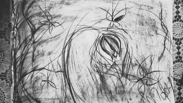 Панков рисунок углем