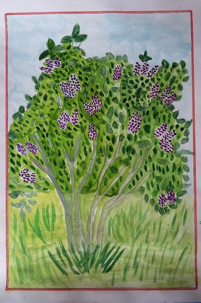 Рисование кустарник в детском саду