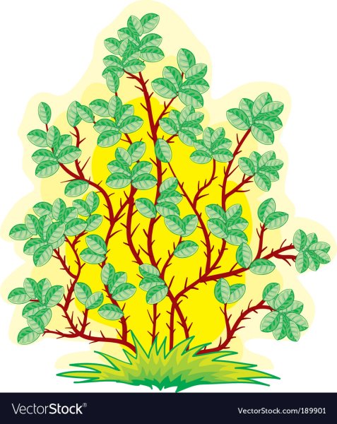 Кустики для детей рисование